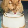 Stijlvolle Ne&no keramische drinkfontein voor katten - Thumbnail Image 3