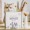 Kattenkruid & Valeriaan speelset - set mix - Thumbnail Image 6