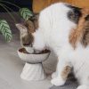 Verhoogde keramische eetkom kat - Thumbnail Image 2