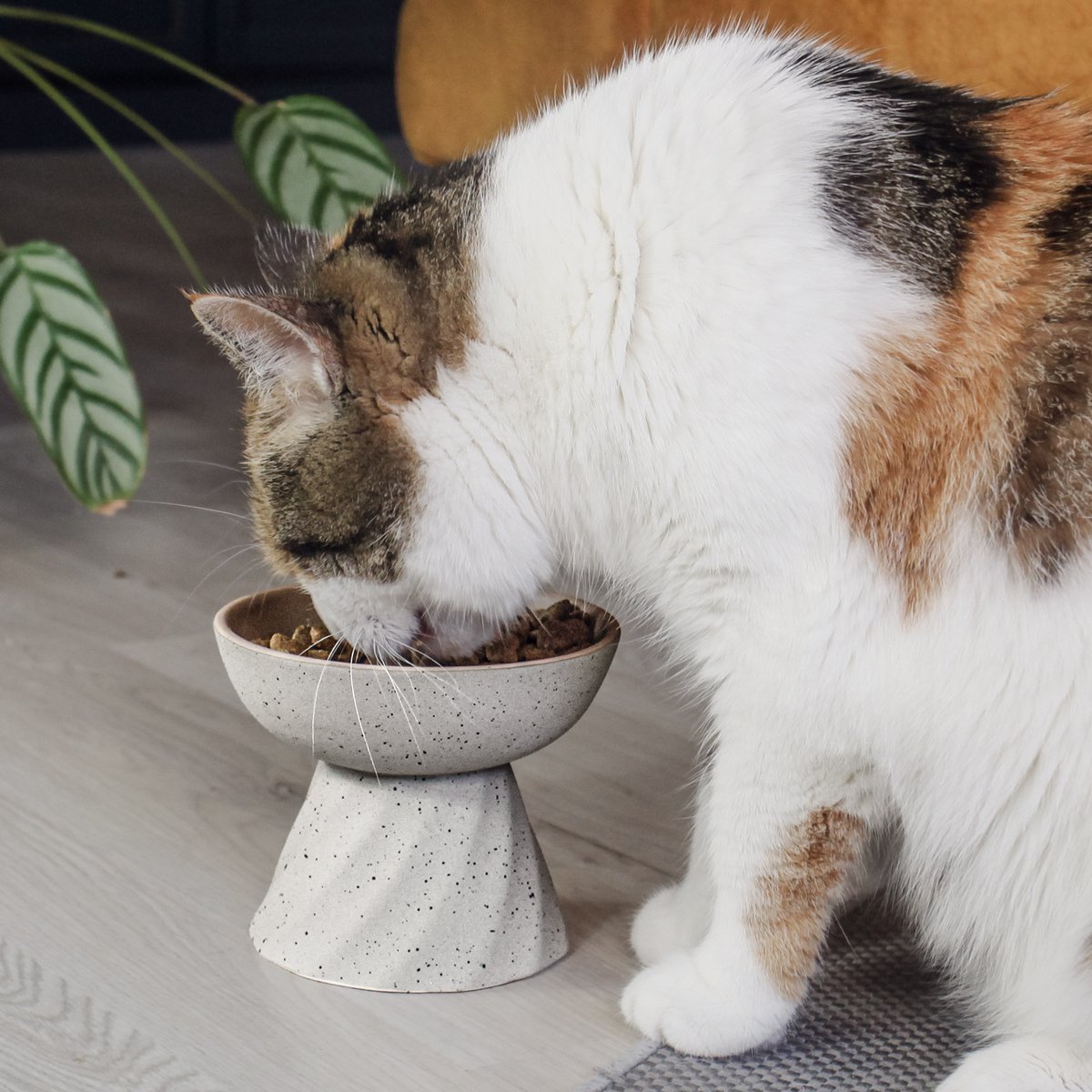Verhoogde keramische eetkom kat - Afbeelding 2