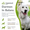 Darmen in balans (hond) - Thumbnail Image 3