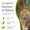 Darmen in balans (kat) - Thumbnail Image 2