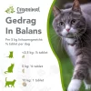 Gedrag in balans kat & hond - Thumbnail Image 3