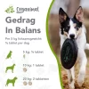 Gedrag in balans kat & hond - Thumbnail Image 2