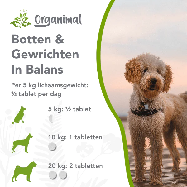 Botten en gewrichten in balans (kat & hond) - Afbeelding 3