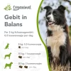 Gebit in balans honden - Thumbnail Image 2