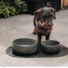 Doga honden eetkom - Thumbnail Image 3