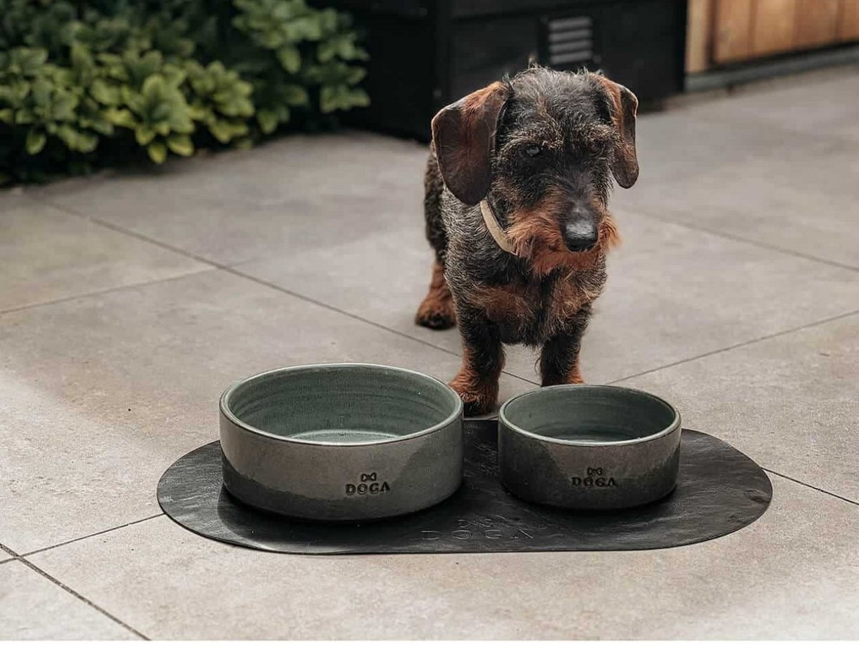 Doga honden eetkom - Afbeelding 3