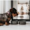 Doga honden eetkom - Thumbnail Image 4