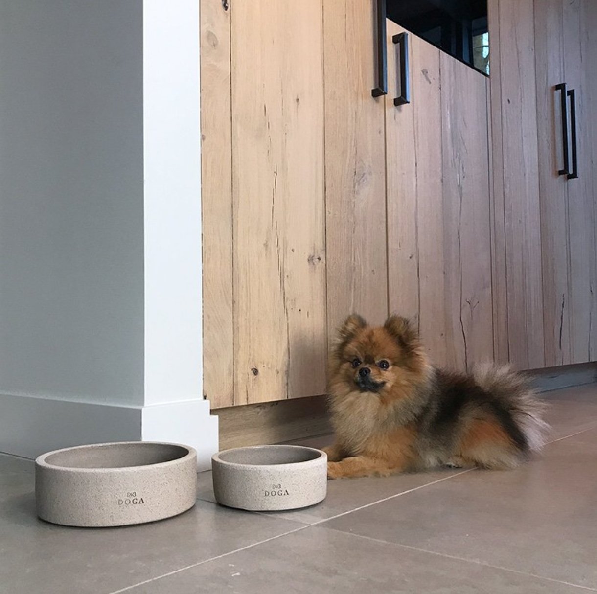 Doga honden eetkom - Afbeelding 5