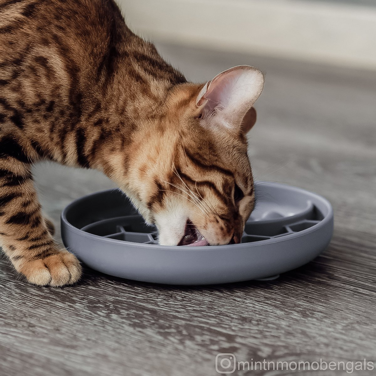 Likmat voor honden en katten - Afbeelding 7