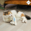 Ne&no kattenspeeltjes met valeriaan (set van 3) - Thumbnail Image 2