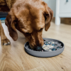 Likmat voor honden en katten - Thumbnail Image 6