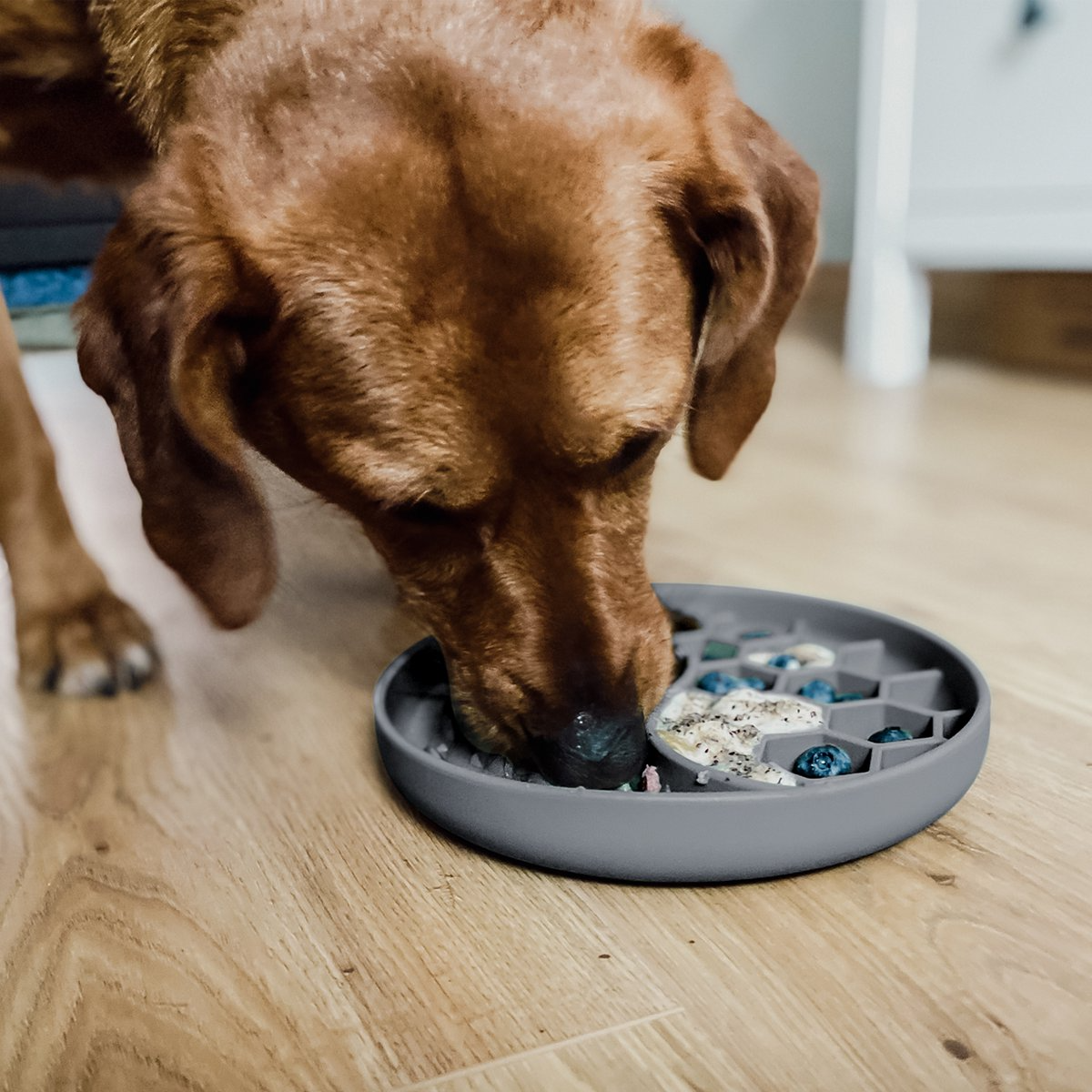 Likmat voor honden en katten - Afbeelding 6