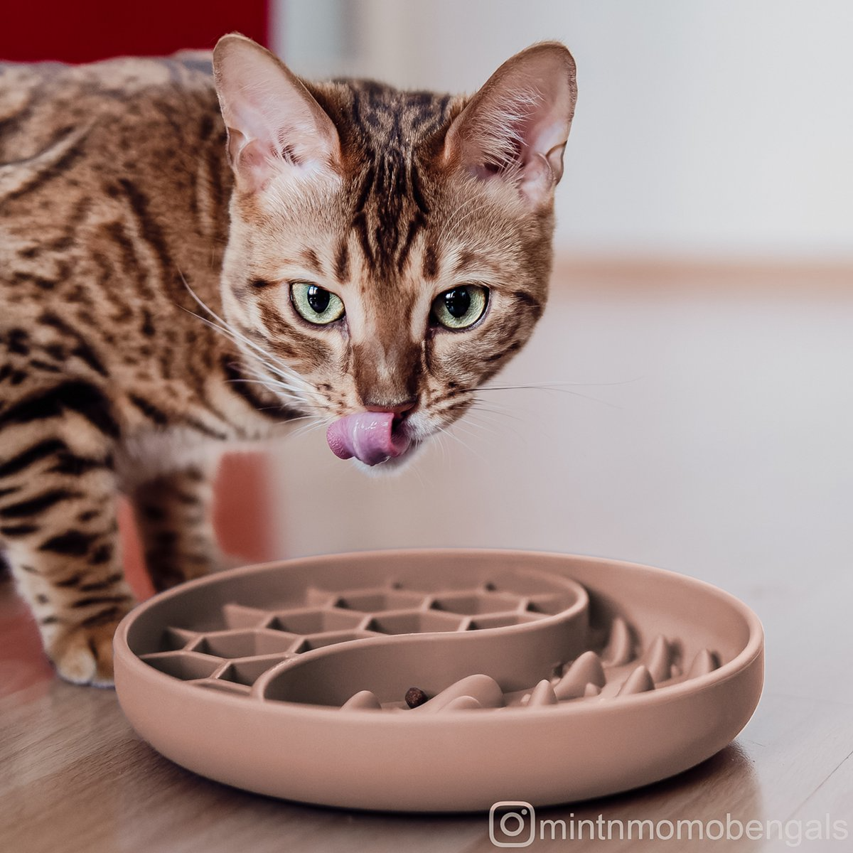 Likmat voor honden en katten - Afbeelding 3