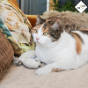 Ne&no kattenspeeltjes met valeriaan (set van 3) - Thumbnail Image 5