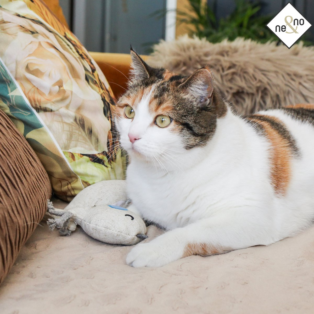 Ne&no kattenspeeltjes met valeriaan (set van 3) - Afbeelding 5