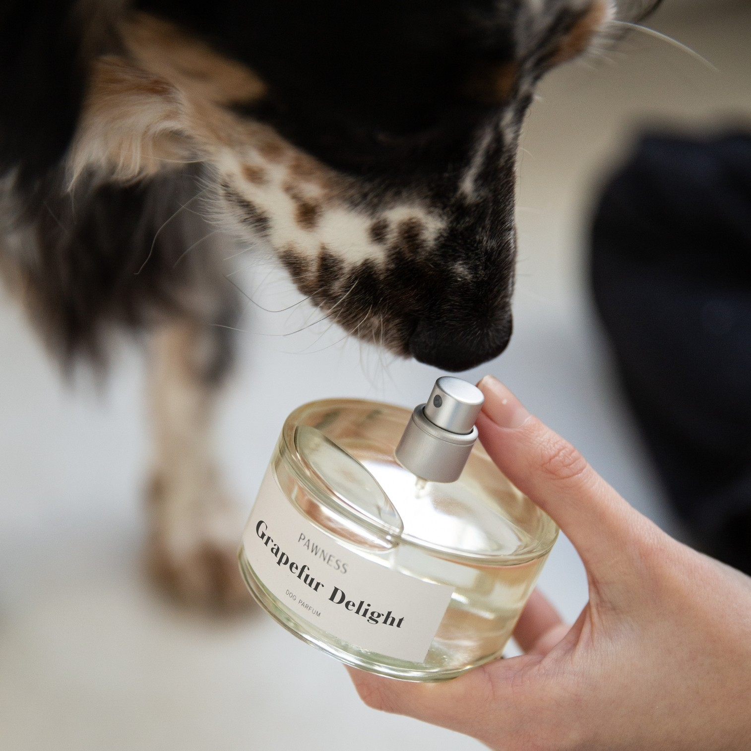 Hondenparfum grapefur delight - Afbeelding 3