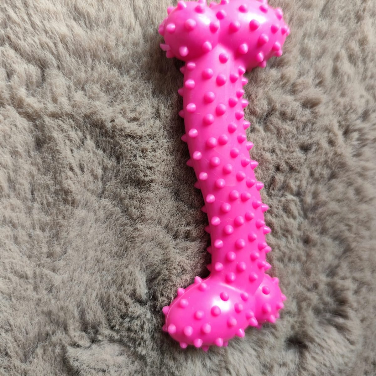 Mini honden speeltje